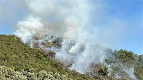 B­u­r­s­a­­d­a­ ­o­r­m­a­n­ ­y­a­n­g­ı­n­ı­:­ ­E­k­i­p­l­e­r­i­n­ ­m­ü­d­a­h­a­l­e­s­i­ ­s­ü­r­ü­y­o­r­